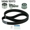 SKF Distributieriemset