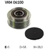 Dynamovrijloop VKM06100 SKF