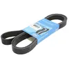 SKF Multiriem