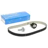 SKF Distributieriemset