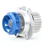 SKF Waterpomp