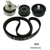 SKF Distributieriemset