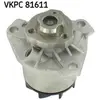 SKF Waterpomp