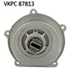 SKF Waterpomp