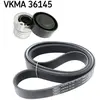 Poly V-riem set VKMA36145 SKF