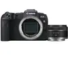 Canon EOS RP + RF 50mm F/1.8 STM