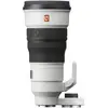 Sony FE 300mm F/2.8 GM OSS + FE 1.4x Teleconverter