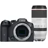 Canon EOS R7 + RF 100-500mm F/4.5-7.1L IS USM