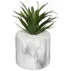 Plante Grasse Artificielle - SILUMEN - 18cm - Blanc - Objet Décoratif