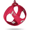 Curli Clasp Vest Harness Clasp Air-Mesh - Hondentuig - 55.5-62.7 Cm