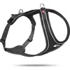 curli Belka Comfort Harness Black XS