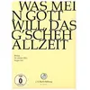 Outhere Music Fr Cnt Was Mein Gott Will Das G Schech DVD