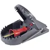 Piège à rats attractif Swissinno 1 180 019 pour lintérieur-extérieur