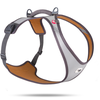 Curli Glow Belka harnais, gris T. 4XL : Tour de poitrine 79-92cm chien