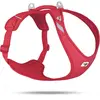 Harnais Pour Chien Curli Belka Air-Mesh