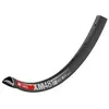 Dt swiss Roues Dt Swiss Rim Xm 481 29 Inches