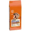 Purina Dog Chow Mature & Senior Croccantini Chiens avec Agneau 14 kg
