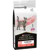PURINA PRO PLAN VETERINARY DIETS DM Gestion du diabète pour chat 5 kg