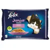 Felix Junior Fantastic 4 x 85 g pour chaton - saumon, poulet