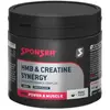 Sponser Sport Food Poudre De Créatine Synergy 320g
