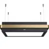 Hotte décorative îlot FRANKE 463231