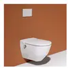 Laufen Cleanet NAVIA Douche WC 40.5x58x37cm diepspoel incl. closetzitt...