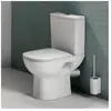 Laufen Lua duobloktoilet 36x65x42cm diepspoel zonder spoelrand vario z...