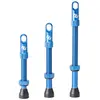 Syncros Soupapes Tubeless