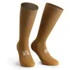 Assos Chaussettes Spring Fall Unisea Socks
