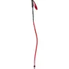 Swix Bâtons World Cup Pro Dh Carbon
