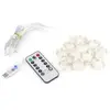 GISTUCH 3x2m 200LED USB Télécommande Fil De Cuivre Guirlande Lumineuse...