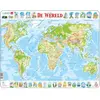 Larsen Puzzle Cadre - De Wereld (en Hollandais) K4-NL