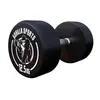 Gorilla Sports Dumbbell - 12,5 kg - Halter - Vaste dumbell - Gietijzer