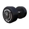 Gorilla Sports Dumbbell - 22,5 kg - Halter - Vaste dumbell - Gietijzer