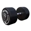 Gorilla Sports Dumbbell - 30 kg - Halter - Vaste dumbell - Gietijzer
