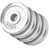 Gorilla Sports Halterschijven Set - Bundel - 2 kg (4 x 0,5 kg) - Chroom - 30 mm