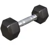 Gorilla Sports Dumbbell - 1 x 2 kg - Gietijzer - Hexagon - Halter