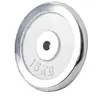 Gorilla Sports Gewichtsschijf - Halterschijf - 15 kg - Chroom - 30 mm