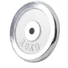 Gorilla Sports Gewichtsschijf - Halterschijf - 20 kg - Chroom - 30 mm