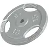 Gorilla Sports Gewicht - Halterschijf - 15 kg - Gripper Gietijzer - 30 mm