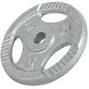 Gorilla Sports Gewicht - Halterschijf - 5 kg - Gripper Gietijzer - 30 mm