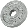 GORILLA SPORTS Poids disque en fonte de 1,25 KG