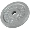 Gorilla Sports Gewichtsschijf - Halterschijf - 5 kg - Gietijzer - 30 mm