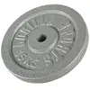 Gorilla Sports Gewichtsschijf - Halterschijf - 15 kg - Gietijzer - 30 mm