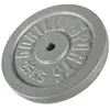 Gorilla Sports Gewichtsschijf - Halterschijf - 25 kg - Gietijzer - 30 mm