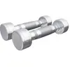 Gorilla Sports Dumbellset 2 kg - 2x1 kg - Halterset - Vaste dumbbells - Chroom