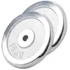 Gorilla Sports Halterschijven Set - Bundel - 30 kg (2 x 15 kg) - Chroom - 30 mm