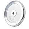 Gorilla Sports Gewichtsschijf - Halterschijf - 25 kg - Chroom - 30 mm