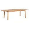 BELIANI Table De Jardin 180/240 X 100 Cm Bois Solide Bois Clair Cesana