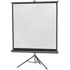 Ecran de projection - CELEXON - Sur pied - 244 x 244 cm - Gain 1.0 - F...